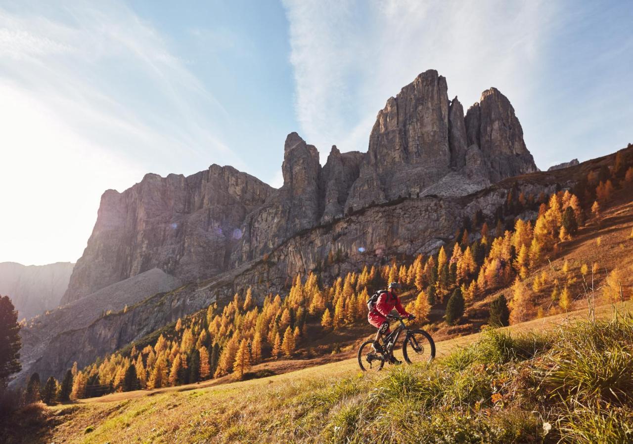 ホテル Chalet Elisabeth Dolomites Alpin & Charme セルヴァ・ディ・ヴァル・ガルデーナ エクステリア 写真