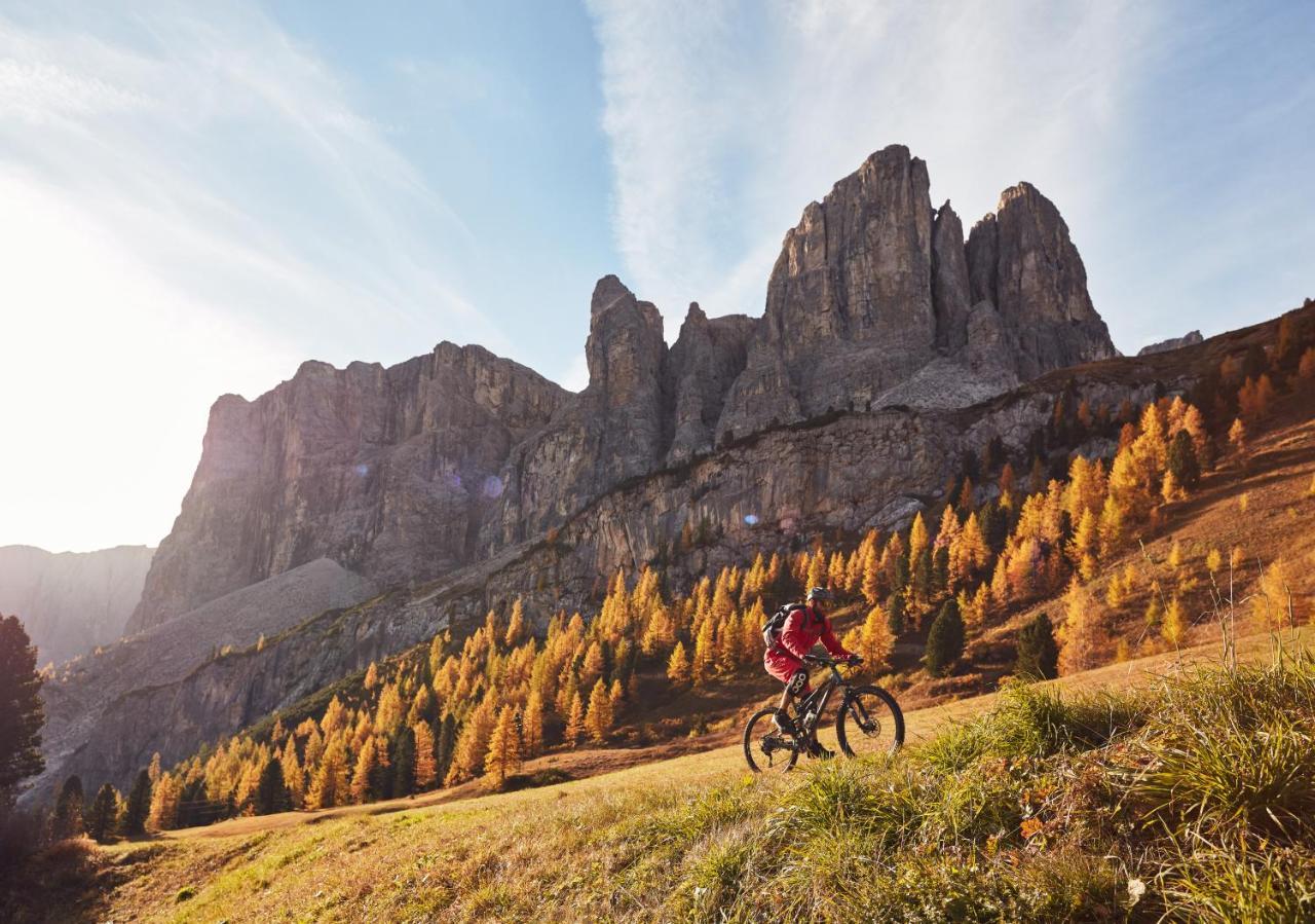 Chalet Elisabeth Dolomites Alpin & Charme セルヴァ・ディ・ヴァル・ガルデーナ エクステリア 写真