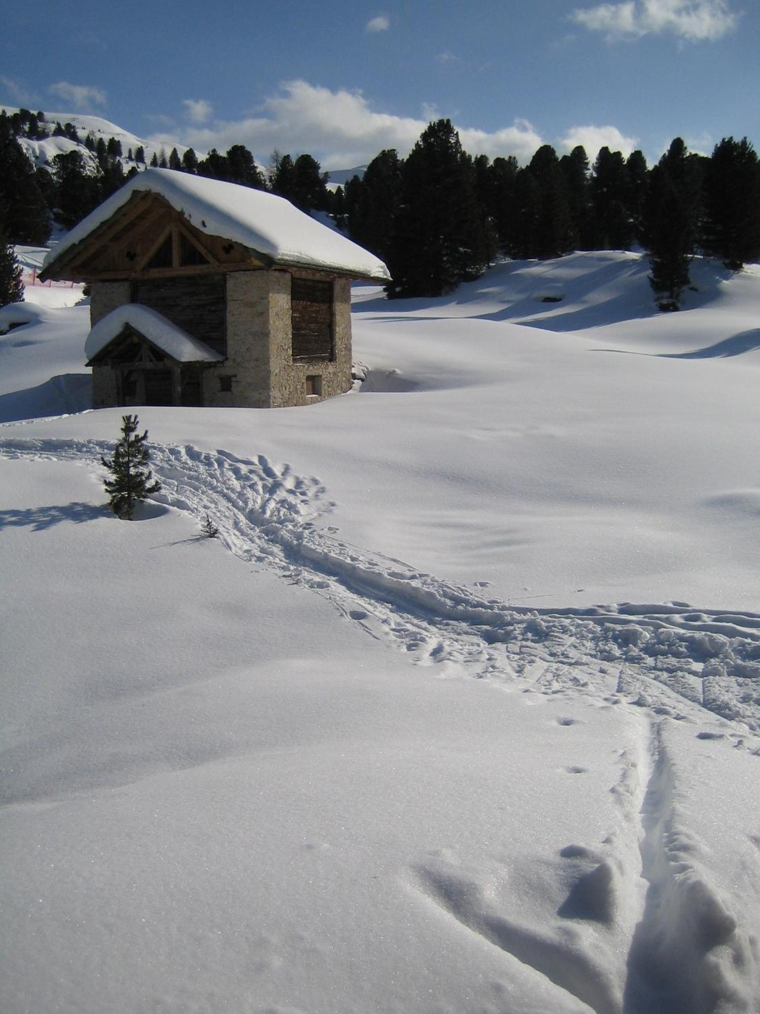 ホテル Chalet Elisabeth Dolomites Alpin & Charme セルヴァ・ディ・ヴァル・ガルデーナ エクステリア 写真