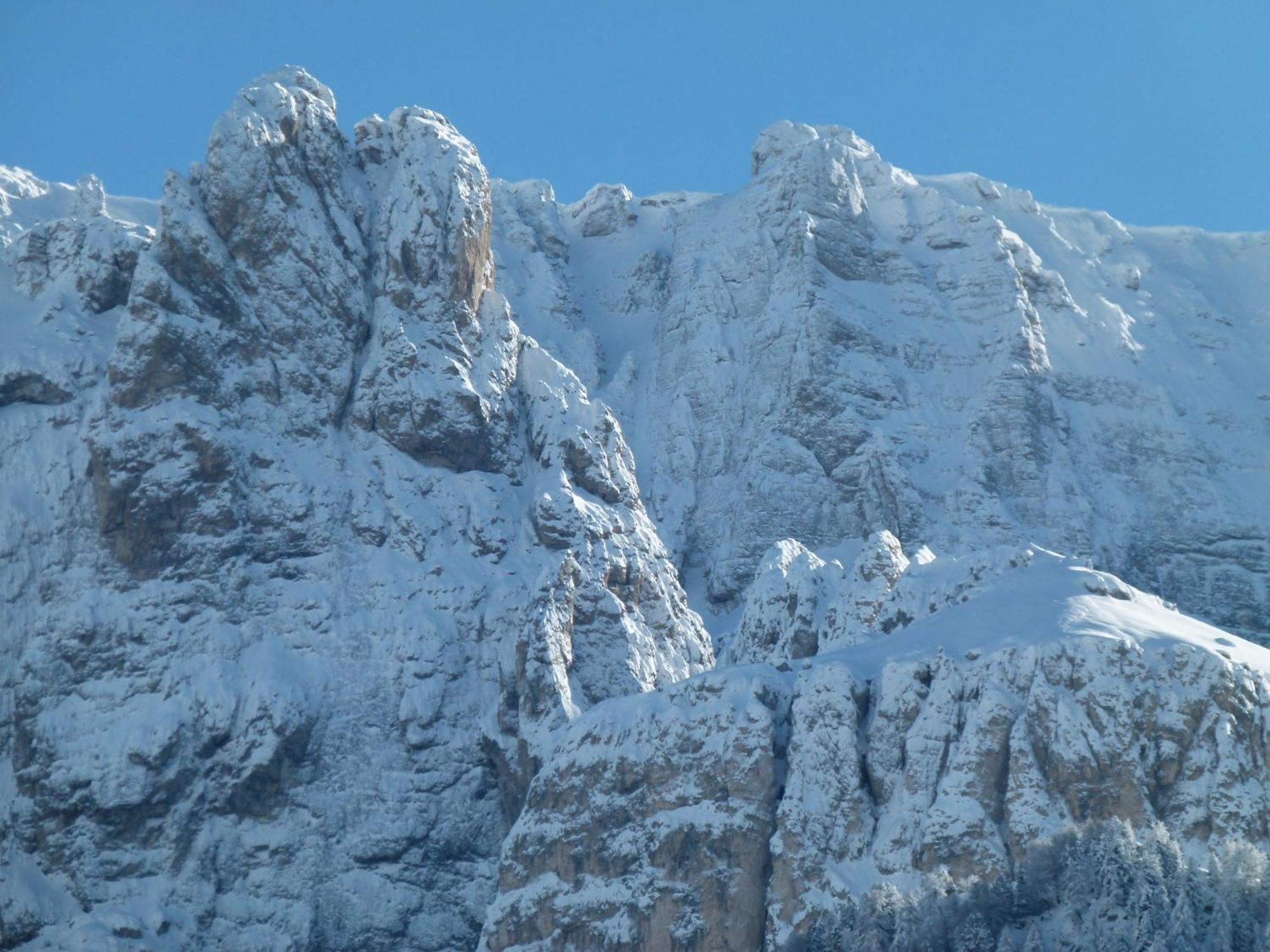 Chalet Elisabeth Dolomites Alpin & Charme セルヴァ・ディ・ヴァル・ガルデーナ エクステリア 写真